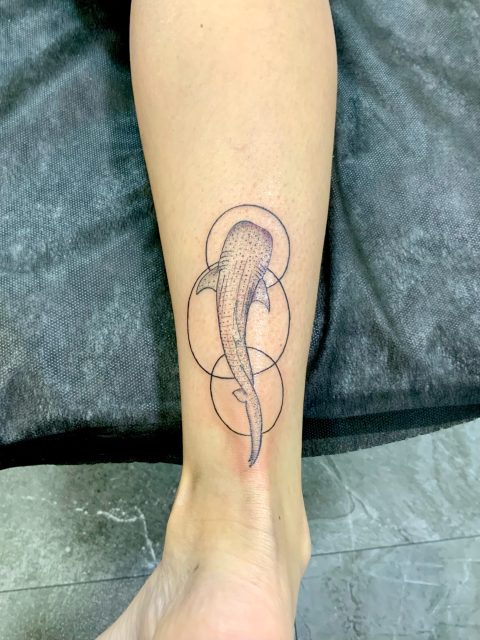 Muchas gracias Paloma!!

@jotatattoo.es👈🏻👈🏻
@pilar_serna
@agu_ac
@ani.mello👈🏻👈🏻
@amartinro 
@_wildsoultattoo 
@ersonbaty 

ABIERTA AGENDA PARA JUNIO DE 2026
Puedes hacer consultas y reservar tu cita por WhatsApp en: 
622190576 Jota 👈🏻
NO ATENDEMOS LLAMADAS. 
Gracias por vuestra paciencia.

#tatuajessalamanca #salamancatattoo #tattoo #jotatattoo barriodeloestesalamanca